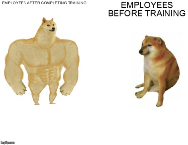 The Buff Doge vs. Cheems meme containing the text "Employees after completing training", and "Employees before training"