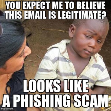 The Third World Skeptical Kid meme containing the text "You expect me to believe this email is legitimate?", and "Looks like a phishing scam"