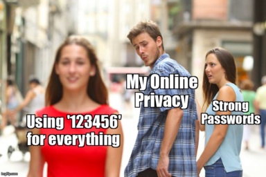 The Distracted Boyfriend meme containing the text "Using '123456' for everything", "My Online Privacy", and "Strong Passwords"