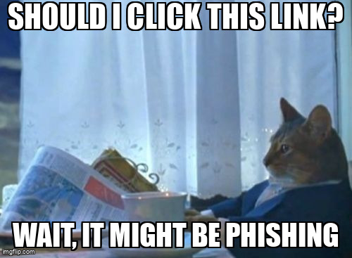 The I Should Buy A Boat Cat meme containing the text "Should I click this link?", and "Wait, it might be phishing"