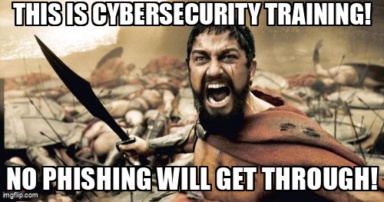 The Sparta Leonidas meme containing the text "This is cybersecurity training!", and "No phishing will get through!"