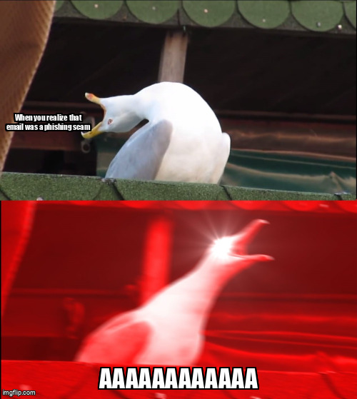 The Inhaling Seagull meme containing the text "When you realize that email was a phishing scam", and "AAAAAAAAAAAA"