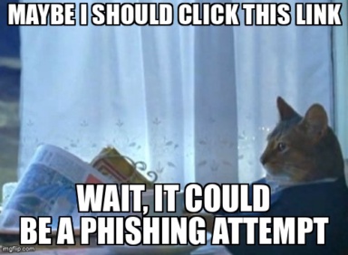 The I Should Buy A Boat Cat meme containing the text "Maybe I should click this link", and "Wait, it could be a phishing attempt"