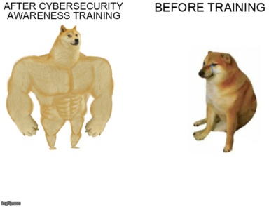 The Buff Doge vs. Cheems meme containing the text "After cybersecurity awareness training", and "Before training"