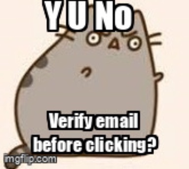 The Y U No meme containing the text "Y U No", and "Verify email before clicking?"