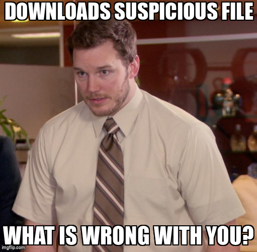 The The Office What Meme meme containing the text "Downloads suspicious file", and "What is wrong with you?"